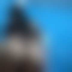 Foto difuminada